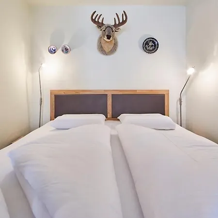 Homely Appartement Saalbach-Hinterglemm
